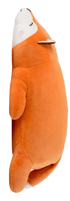 Peluche